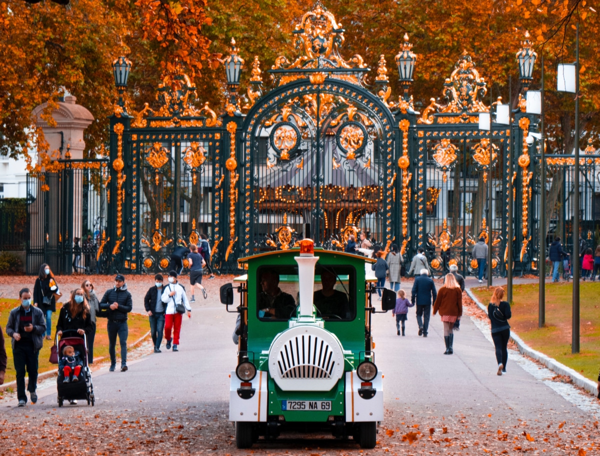 management conference