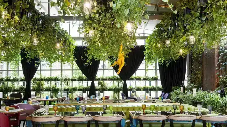 management conference