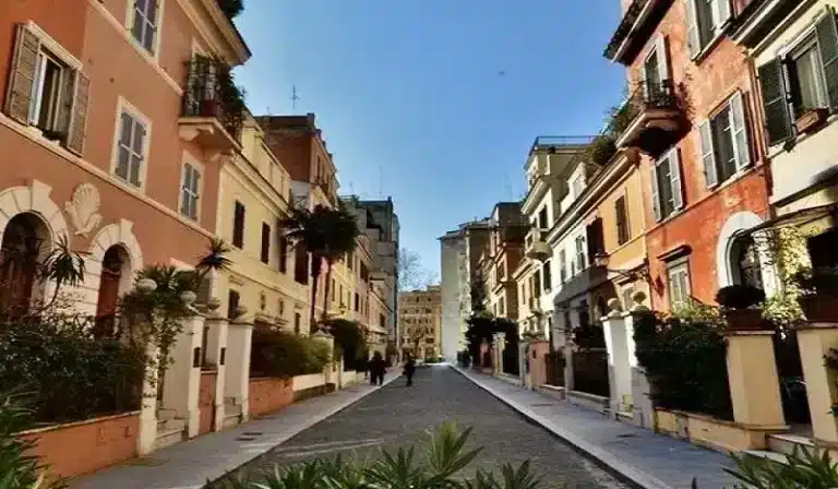 management conference